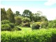 144 Bilyana Back Road, Cardwell QLD 4849