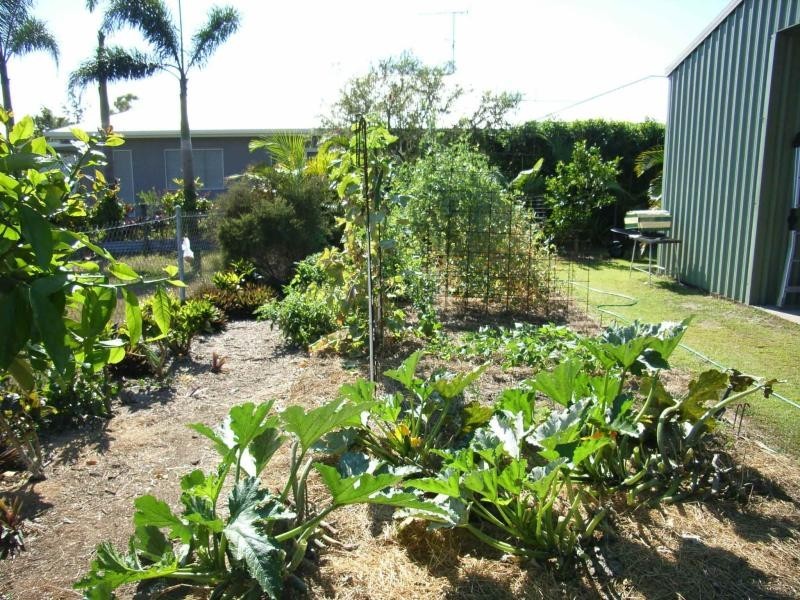 10 Albert St, Cardwell QLD 4849
