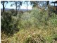 122 Wharf Street, Maclean NSW 2463