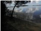 Ashby NSW 2463