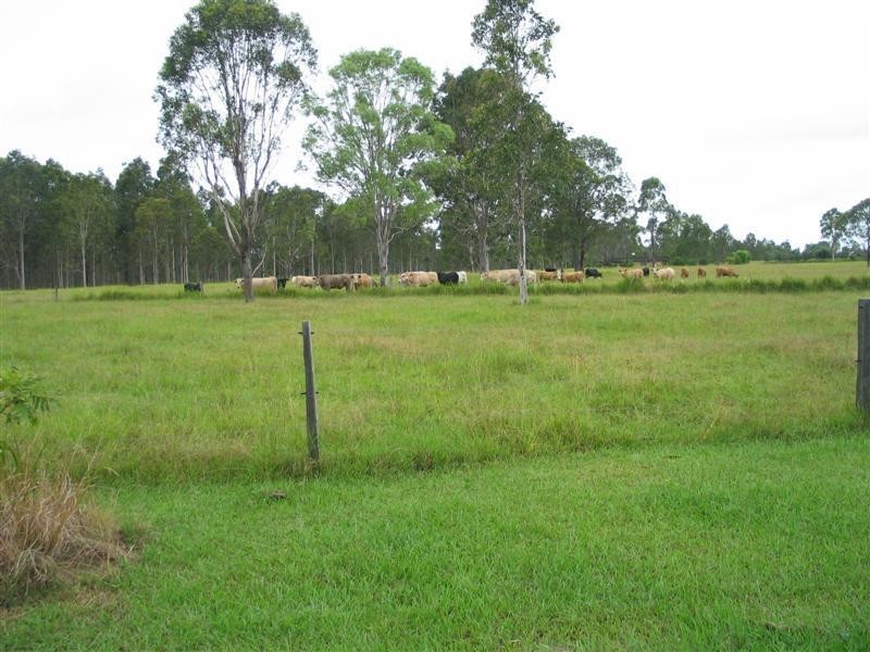 146 Tullymorgan Road, Lawrence NSW 2460