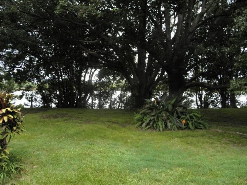 805 South Arm School Road, Brushgrove NSW 2460