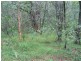 Lot 521/ Pottery Lane, Woombah NSW 2469