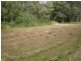 Lot 521/ Pottery Lane, Woombah NSW 2469