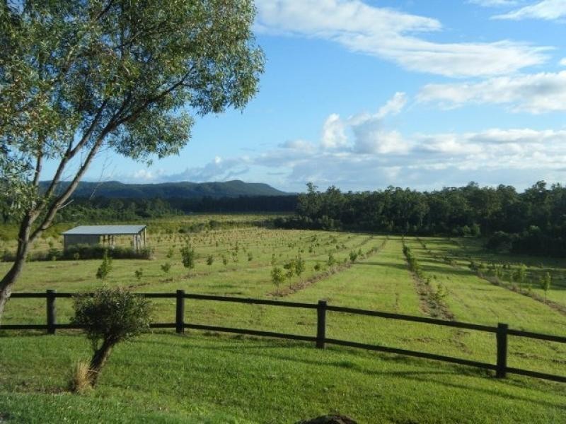 242 Mororo Road,YAMBA HINTERLAND, Mororo NSW 2469