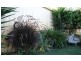 7 Thompson Road, Robe SA 5276