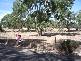 Sevenhill SA 5453
