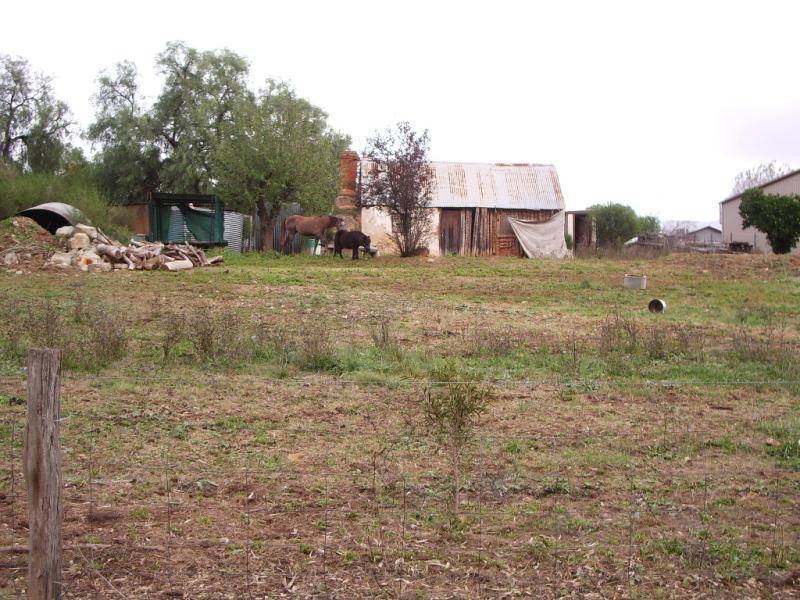 LOT 29 EDWARD STREET, Clare SA 5453