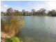 Lot 48 Idyll Acres, Morgan SA 5320
