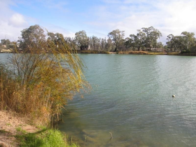 Lot 48 Idyll Acres, Morgan SA 5320