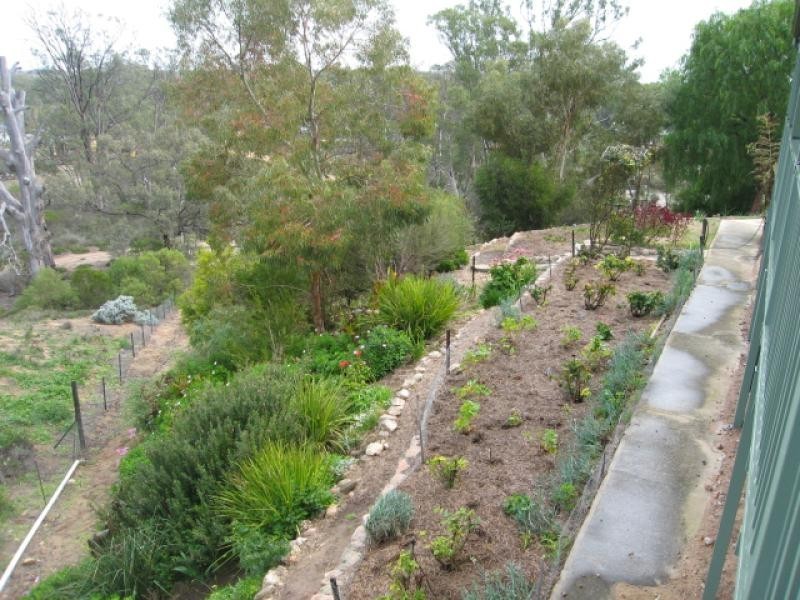 Lot 48 Idyll Acres, Morgan SA 5320