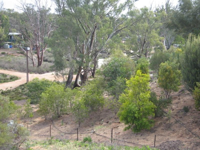 Lot 48 Idyll Acres, Morgan SA 5320