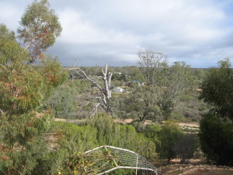 Lot 48 Idyll Acres, Morgan SA 5320
