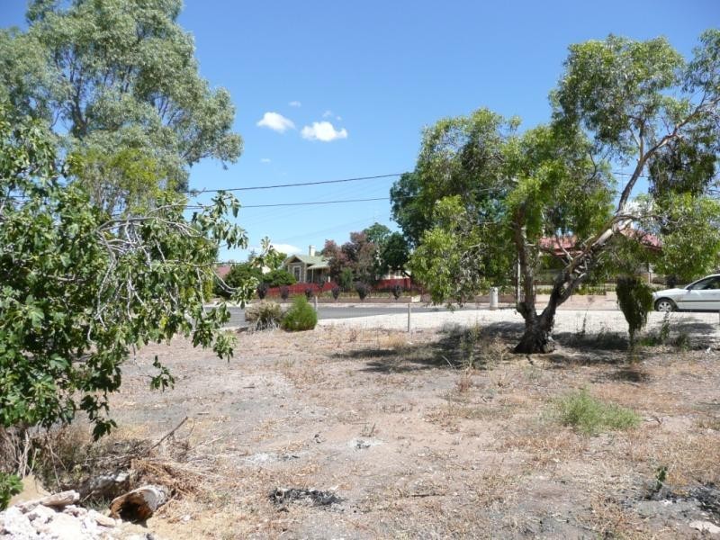 13 WILLIAM STREET, Clare SA 5453