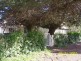 27 Muirkirk Street, Jamestown SA 5491