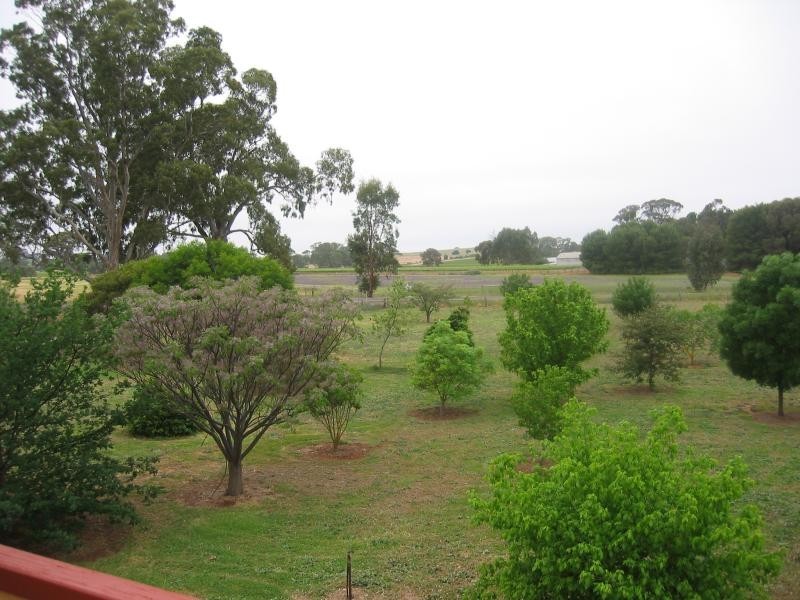 LOT 61 TORR STREET, Mintaro SA 5415