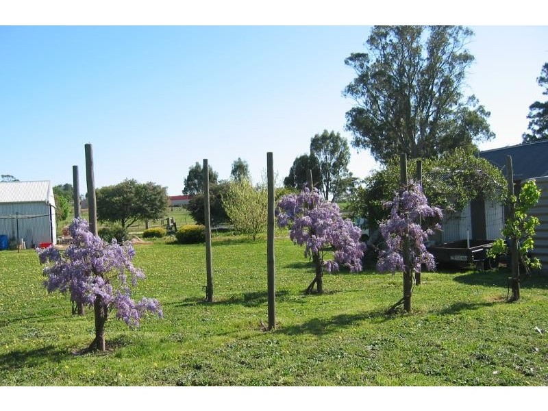 LOT 61 TORR STREET, Mintaro SA 5415