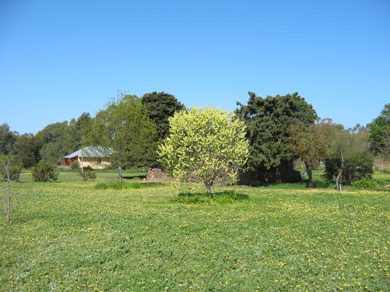 LOT 63 KING STREET, Mintaro SA 5415