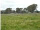 Lot 5/6 Wakefield Street, Mintaro SA 5415