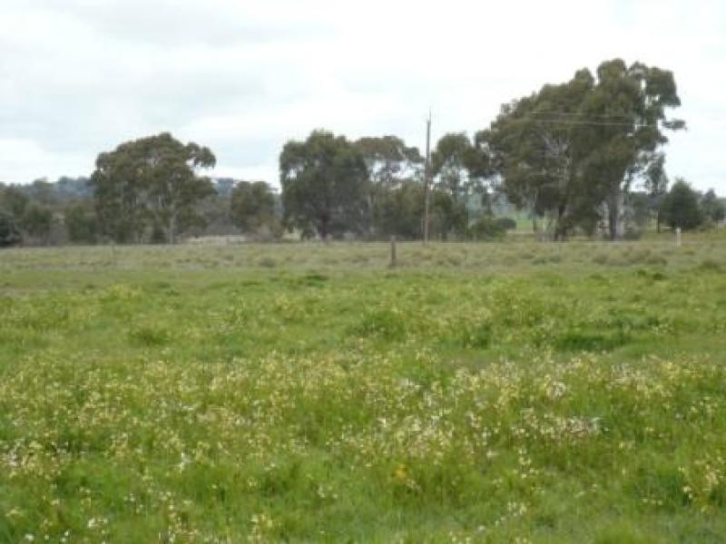Lot 5/6 Wakefield Street, Mintaro SA 5415