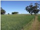 Lot 44 Merewether Street, Farrell Flat SA 5416