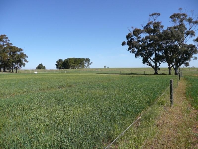 Lot 44 Merewether Street, Farrell Flat SA 5416