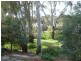 11 Powell Place, Clare SA 5453