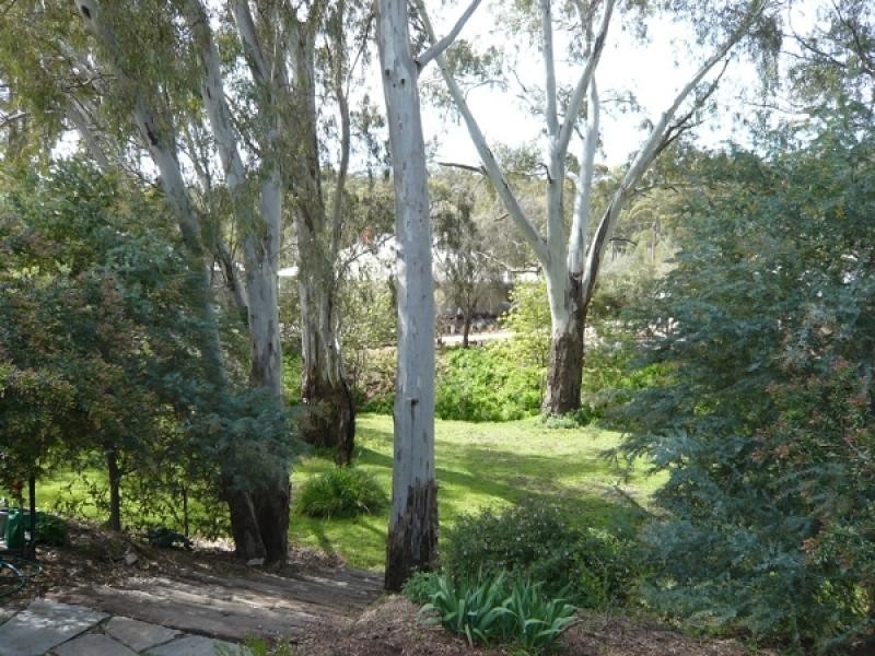 11 Powell Place, Clare SA 5453