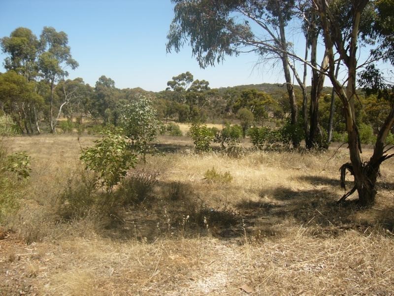 Lot 2 Maggies Farm Road, Armagh SA 5453