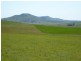 Mount Bryan SA 5418