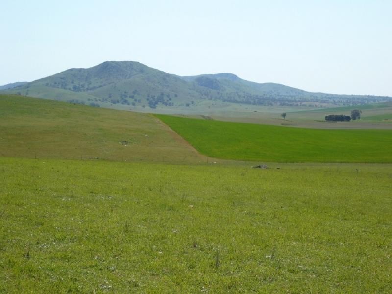 Mount Bryan SA 5418