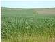 Mount Bryan SA 5418