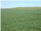 Mount Bryan SA 5418