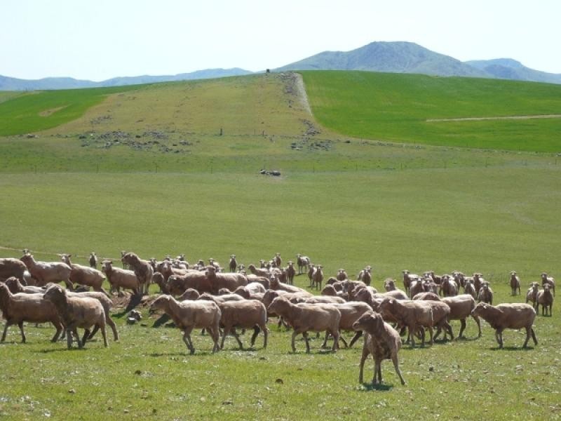 Mount Bryan SA 5418