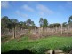 Lot 2, 4 Seipelt Lane, Penwortham SA 5453