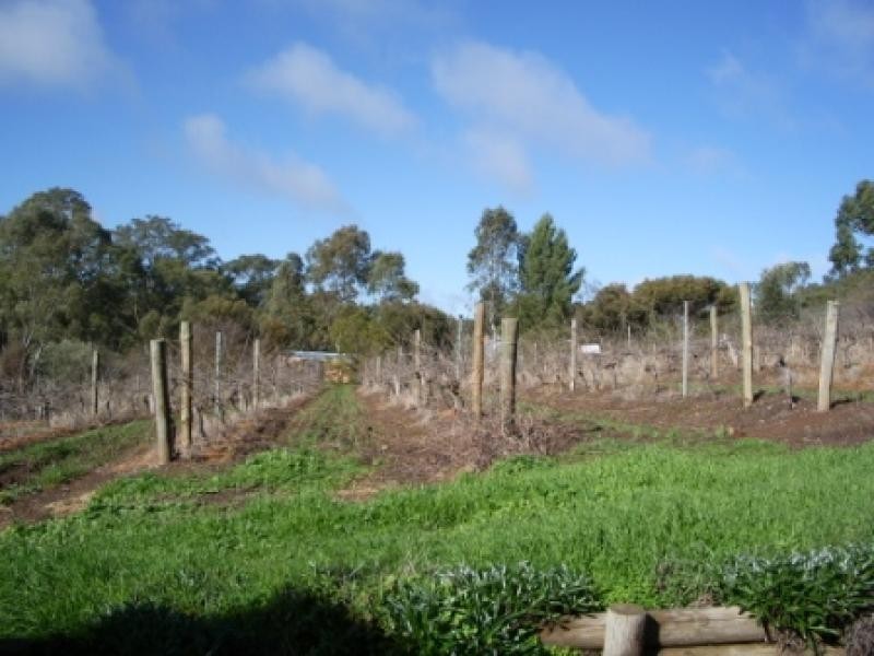 Lot 2, 4 Seipelt Lane, Penwortham SA 5453