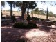 Lot 23 Scobie Road, Armagh SA 5453