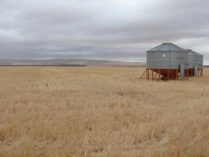 387.59ha Barkulla 958 acs, Koolunga SA 5464