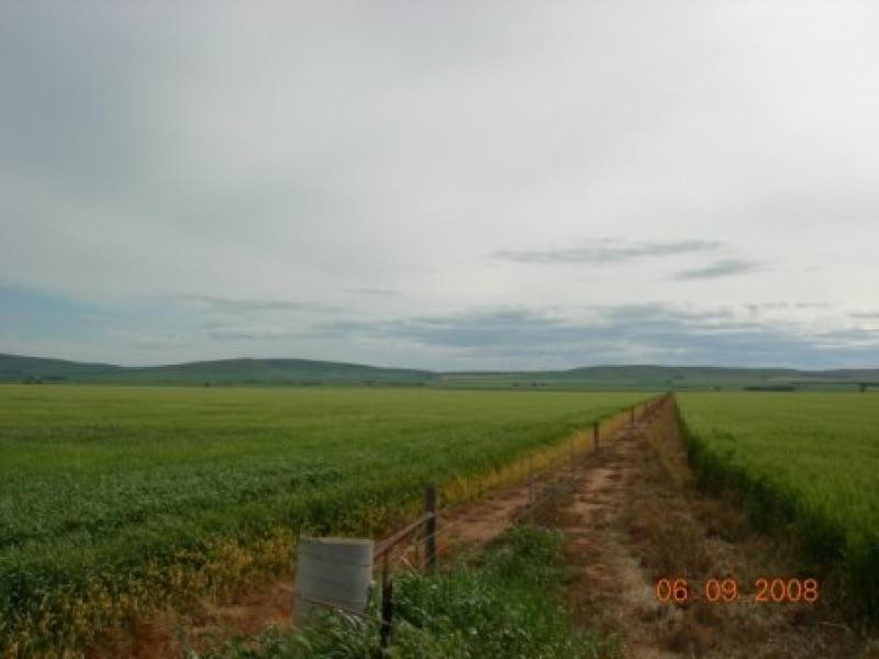 387.59ha Barkulla 958 acs, Koolunga SA 5464