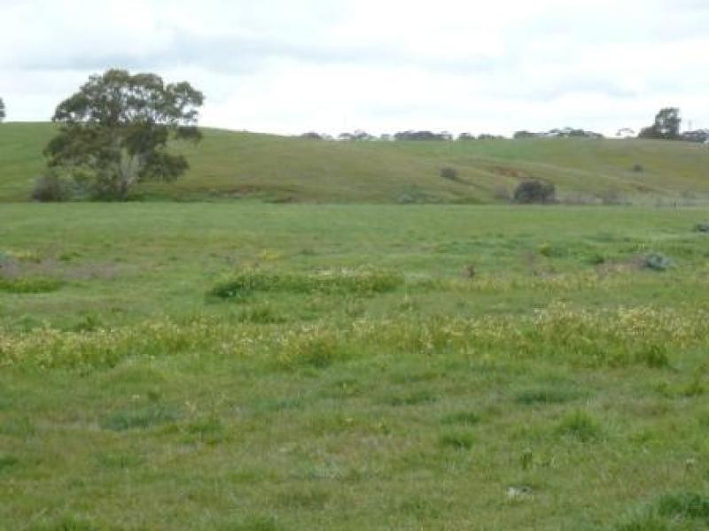 Lot 5 Wakefield Street, Mintaro SA 5415
