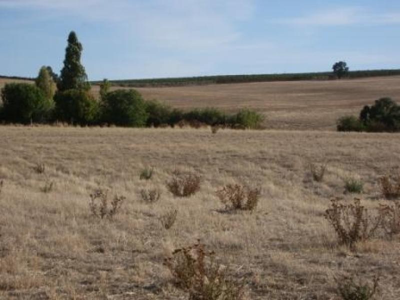 Lot 5 Wakefield Street, Mintaro SA 5415