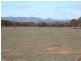 3,646HA “WILSONS” 9,013 ACS, Parnaroo SA 5422