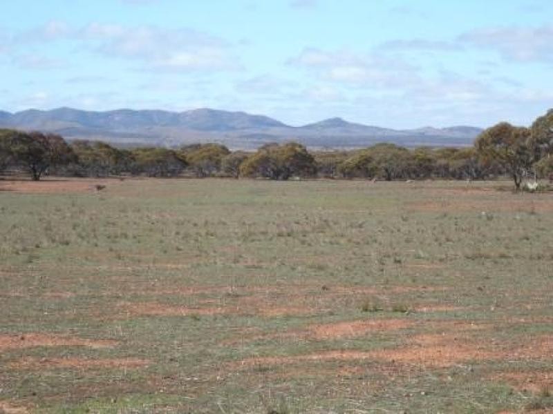 3,646HA “WILSONS” 9,013 ACS, Parnaroo SA 5422