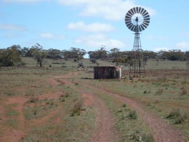 3,646HA “WILSONS” 9,013 ACS, Parnaroo SA 5422