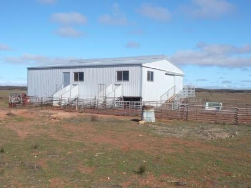 3,646HA “WILSONS” 9,013 ACS, Parnaroo SA 5422