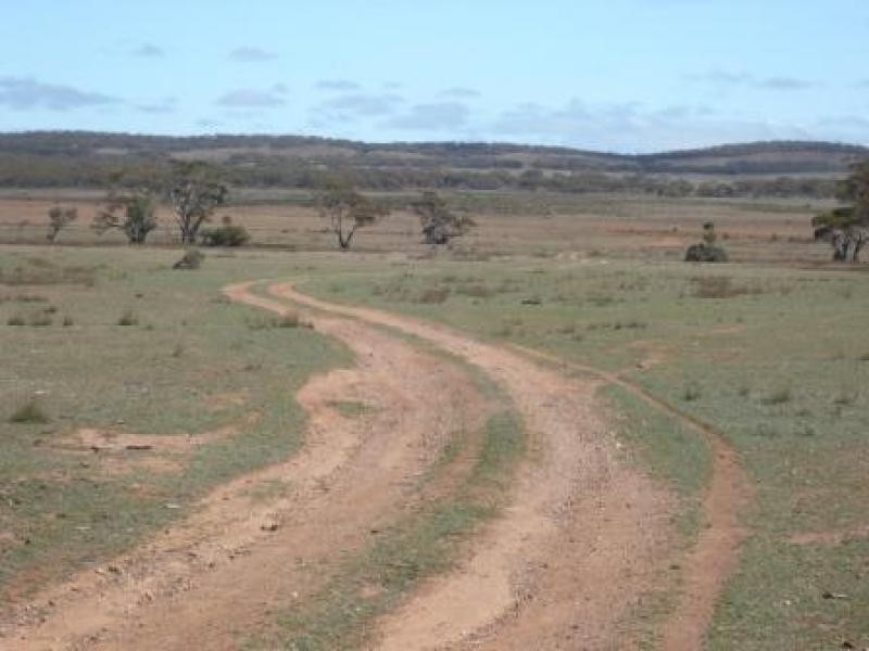 3,646HA “WILSONS” 9,013 ACS, Parnaroo SA 5422