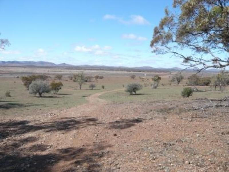 3,646HA “WILSONS” 9,013 ACS, Parnaroo SA 5422