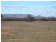 3,646HA “WILSONS” 9,013 ACS, Parnaroo SA 5422