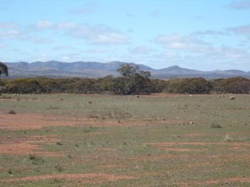 3,646HA “WILSONS” 9,013 ACS, Parnaroo SA 5422