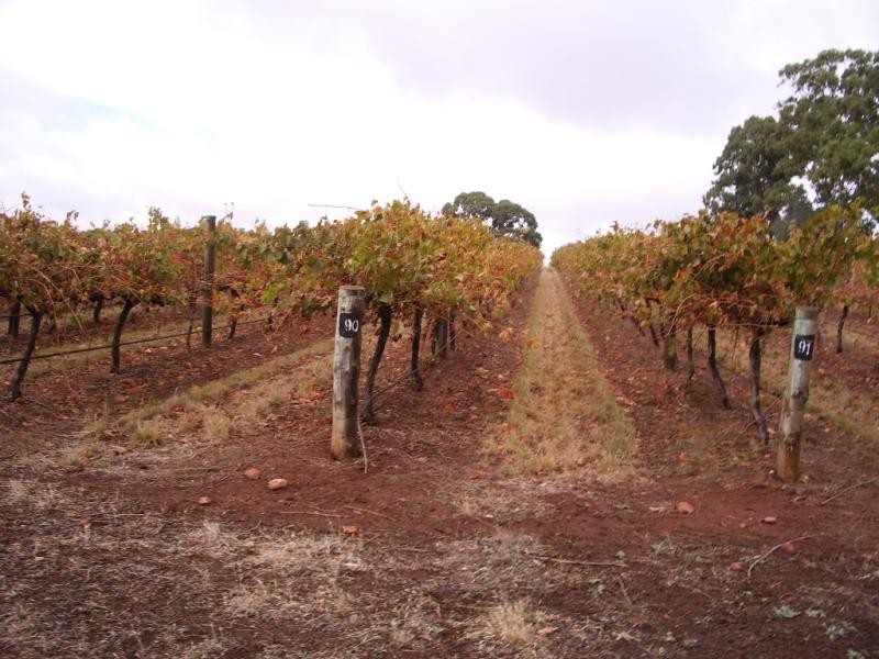 Sevenhill SA 5453